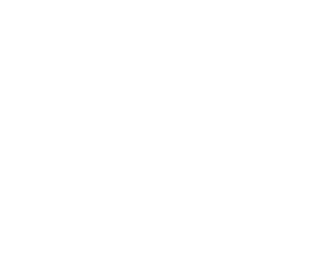 pricing-shape